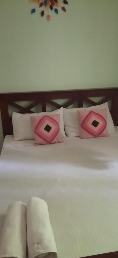 Osheen Family Guest House Полоннарува Екстер'єр фото