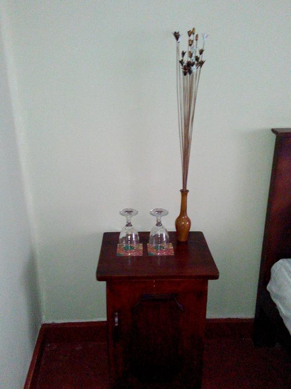 Osheen Family Guest House Полоннарува Екстер'єр фото