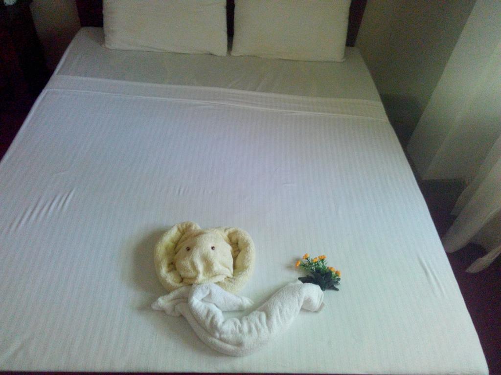 Osheen Family Guest House Полоннарува Екстер'єр фото